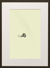 Chapman Starling Drawing Still