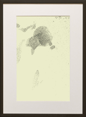 Chapman Starling Drawing Still