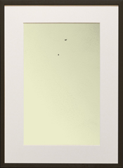 Chapman Starling Drawing Still