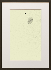 Chapman Starling Drawing Still