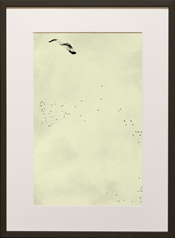 Chapman Starling Drawing Still