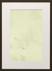 Chapman Starling Drawing Still