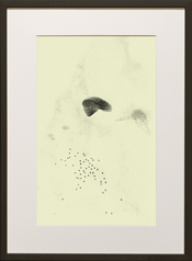 Chapman Starling Drawing Still